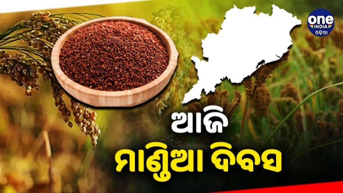 ମାର୍ଗଶୀର ପ୍ରଥମ ଗୁରୁବାରରେ ଓଡ଼ିଶା ପାଳୁଛି ମାଣ୍ଡିଆ ଦିବସ Today Odisha