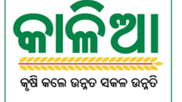 କାଳିଆ ଯୋଜନା କାଳିଆ ଯୋଜନା