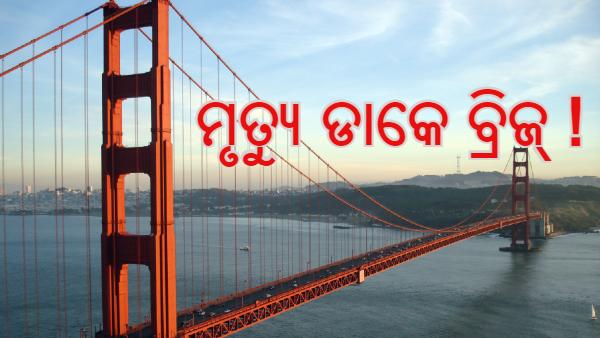 ଆମେରିକା ଆମେରିକା