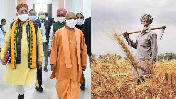 Up-Budget-Farme Up-Budget-Farme