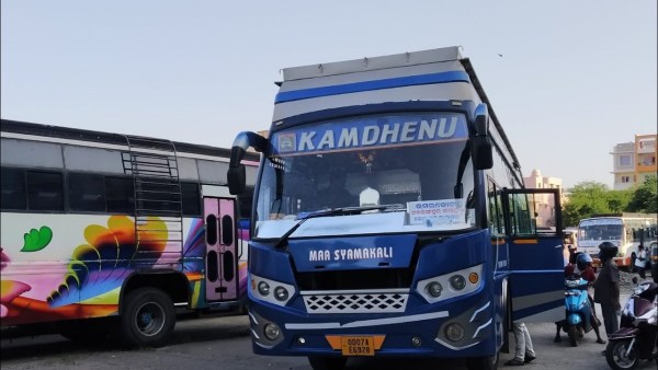 bus service bus service