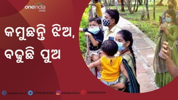 ଝିଅ ଝିଅ