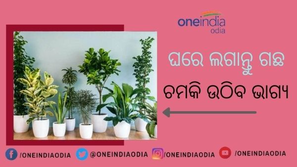 ବାସ୍ତୁ ବାସ୍ତୁ