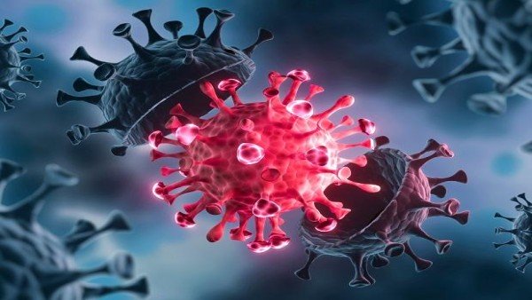 corona virus corona virus