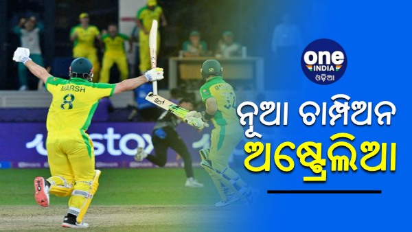 t20 world cup t20 world cup