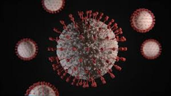 neocov coronavirus neocov coronavirus