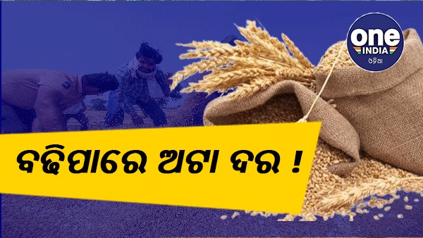 wheat wheat