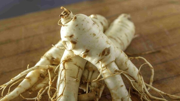 ginseng ginseng