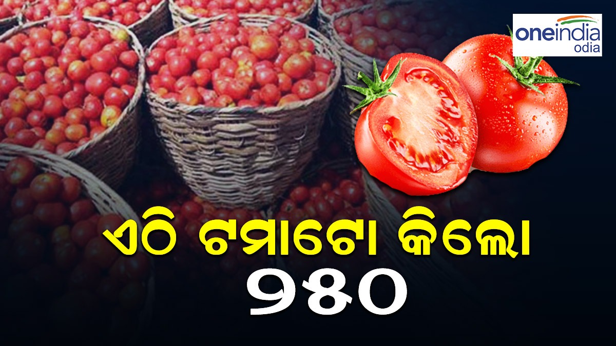 ଏଠି ଟମାଟୋ କେଜି ୨୫୦ ଟଙ୍କା ଲୋକେ ଟମାଟୋ ଖାଇବେ ନା ଦେଖିକି ପେଟ ଭରି ଦେବେ
