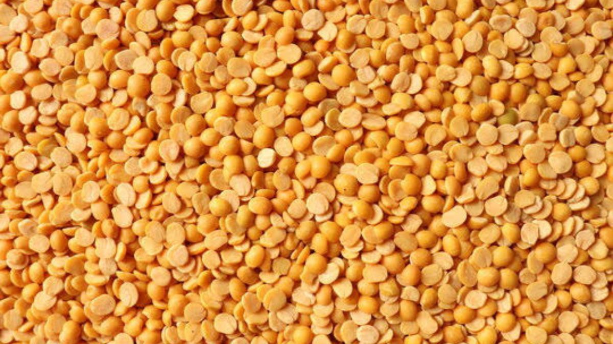 ମଧୁମେହରେ କେଉଁ ଡାଲି ଖାଇବା ଲାଭଦାୟକ ? ଆସନ୍ତୁ ଜାଣିବା… HEALTH TIPS WHICH pulses are beneficial to